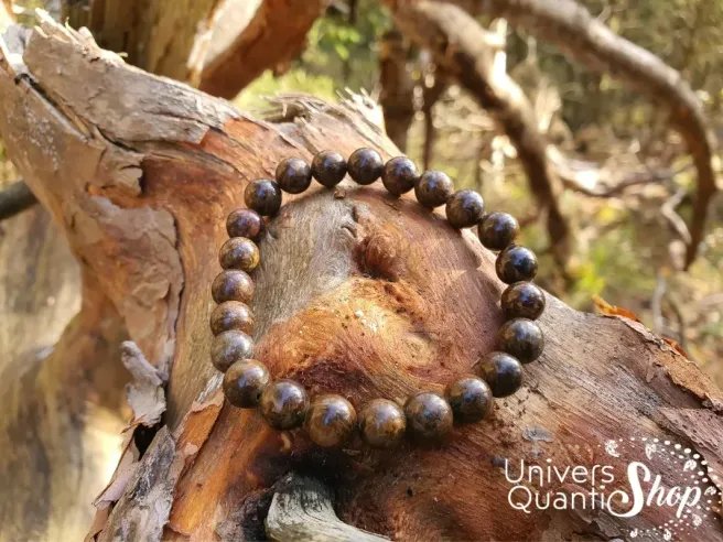 bronzite bienfaits et signification, bracelet posé sur une branche d'arbre dans la nature