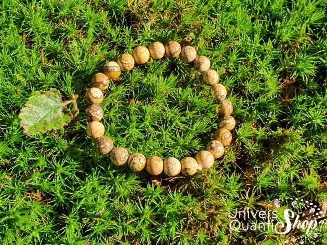 Jaspe paysage bracelet en pierre naturelle 08mm posé sur de l'herbe en nature