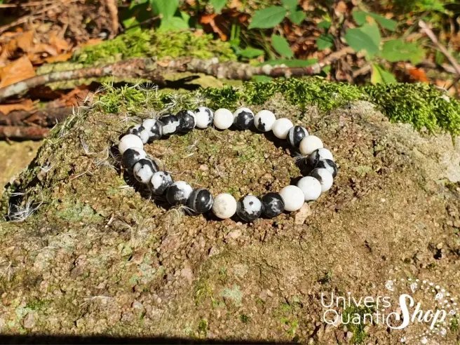 Jaspe zèbre Bracelet pierre naturelle perle 08mm sur un rocher en nature