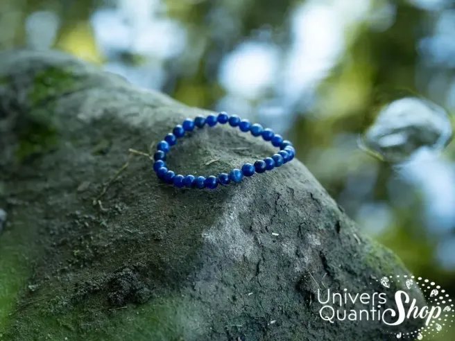 sodalite vertus, sodalite bleue bracelet 06mm sur un arbre en nature