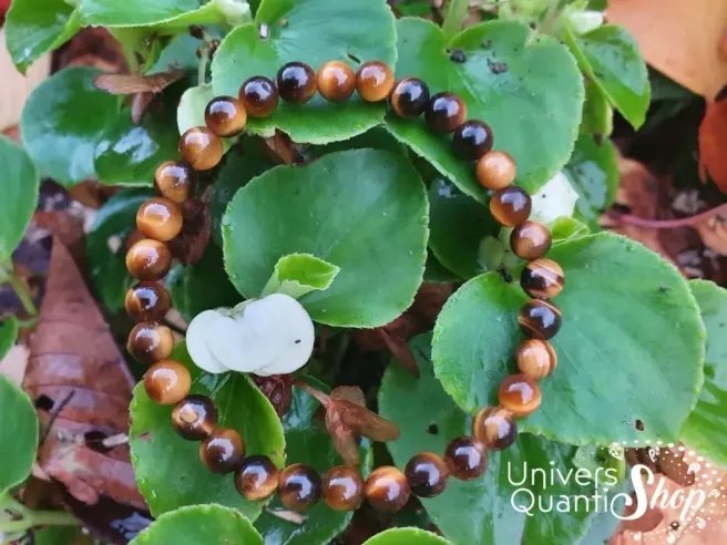 oeil de tigre bracelet pierre naturelle 6mm posé sur des plantes vertes