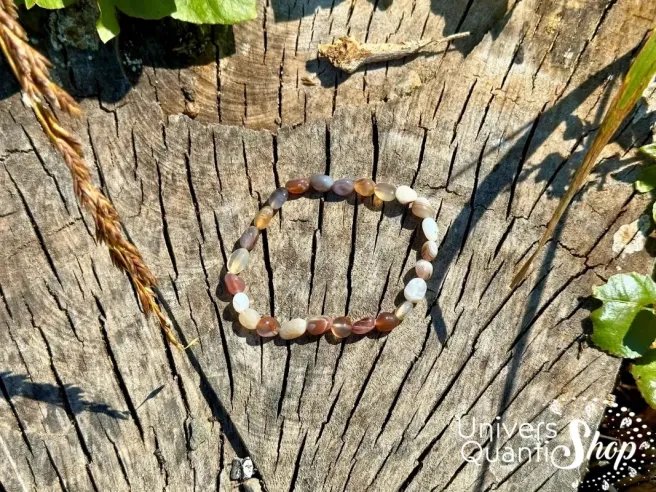 agate botswana bracelet pierres roulées naturelles posé sur une souche d'arbre