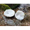 Géode de quartz du Maroc en cristal de roche ouverte, cristaux naturels sur un rocher