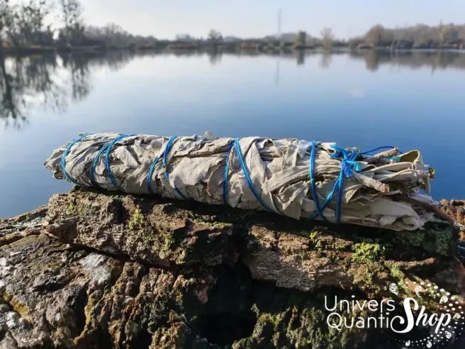 mélange aigle bleu, bâton chamanique de purification posé sur un rocher au bord de l'eau