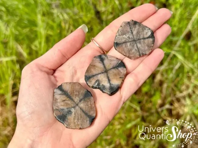 chiastolite protection pierres plates posées dans une main dans la nature