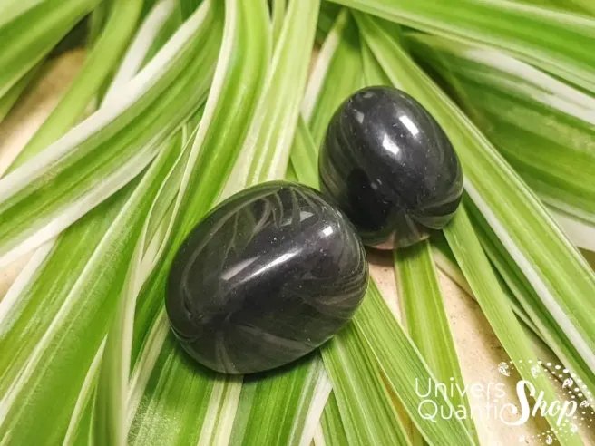 obsidienne noire protection pierre roulée sur des feuilles vertes
