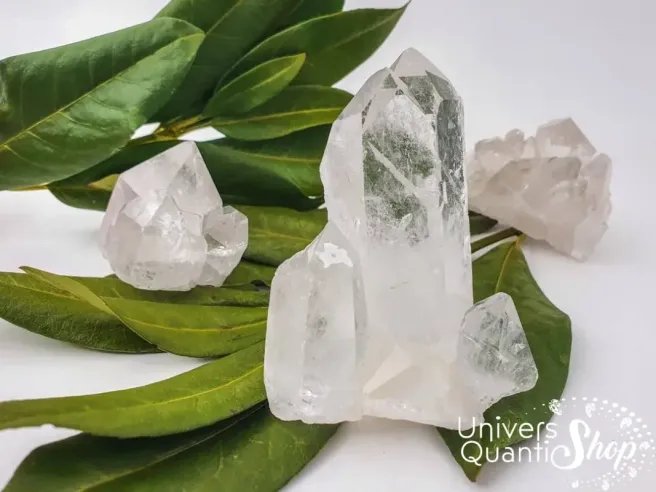 amas cristal de roche quartz clair avec feuilles vertes en fond