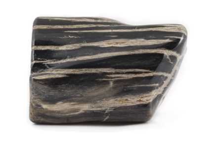 Pierre bois fossilisé, silicifié ou pétrifié - Bienfaits, vertus