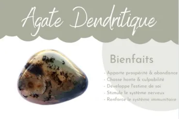 agate dendritique signification en lithothérapie